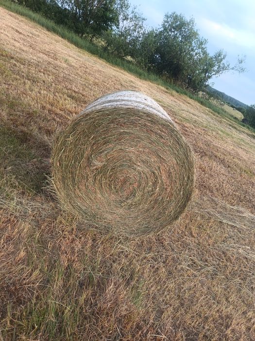Sprzedam siano sezon 2025