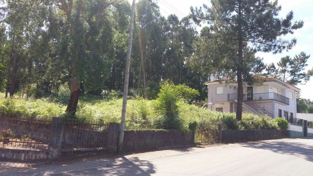 Terreno Caldas S. Jorge