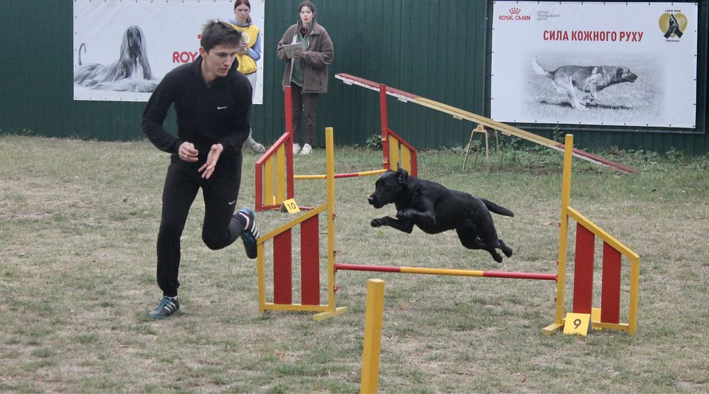 Аджиліті у Вінниці