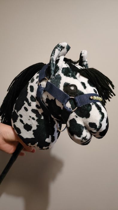 Konik hobby horse tarantowate A4