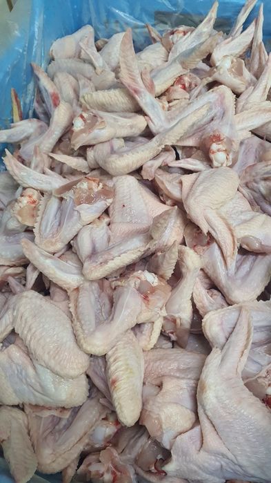 Крыло куринное. 60 грн/кг