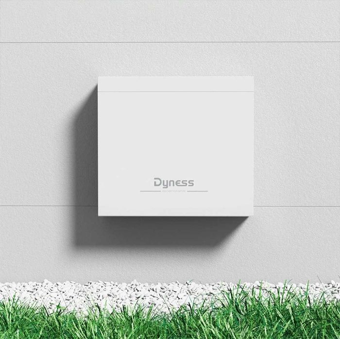 Комплект акумуляторів 2x Dyness B4850 48V 50Ah LiFePO4 (4.8 кВт·год)