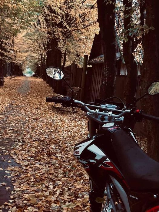 В продажі Лонцін 250