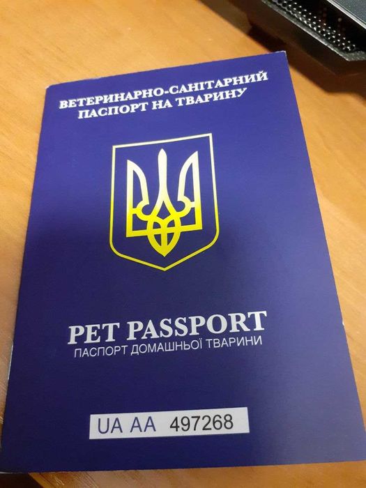 Молоденькі та мініатюрні чорняві красуні) Бонус - мають паспорт тощо!