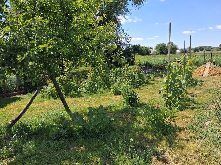 Продаж будинку  в Новому Білоусі .