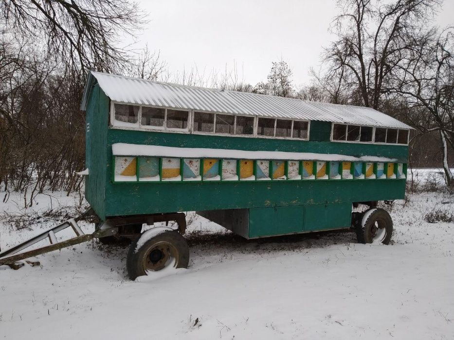 Бджолопавільйон! Пчелопавильйон!