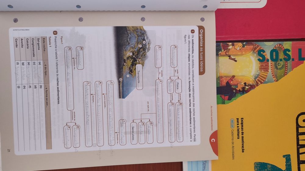 Caderno atividades