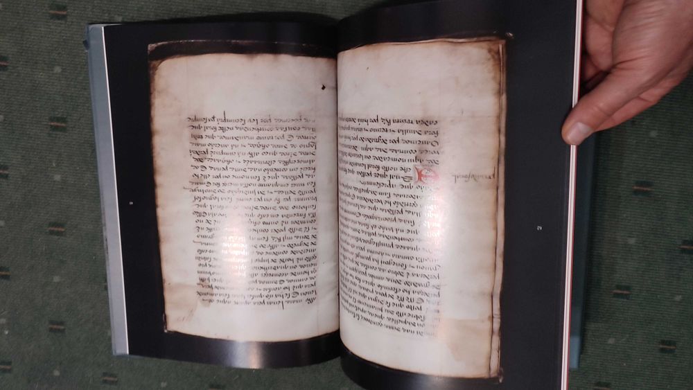 Foral Manuelino de Jarmelo