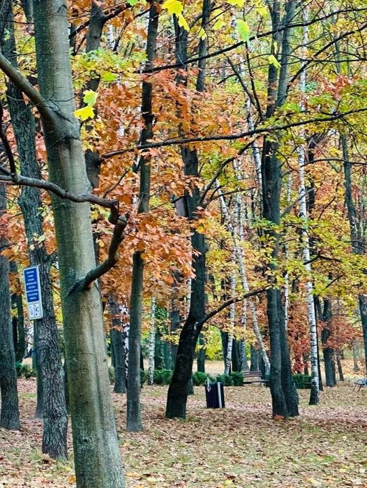 BEZPOŚREDNIO jasny przestronny Apartament, zielony Mokotów - park, cisza, widok na zieleń - 116m 4 pok - idealny dla rodziny, wszędzie blisko - More