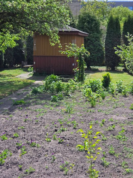 Działka ROD ul. Hetmańska - Widok 5