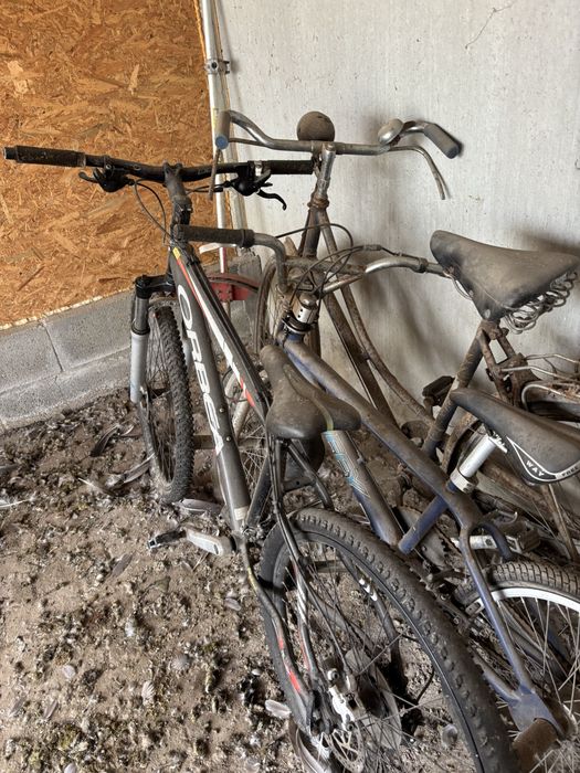 Bicicleta orbea usado