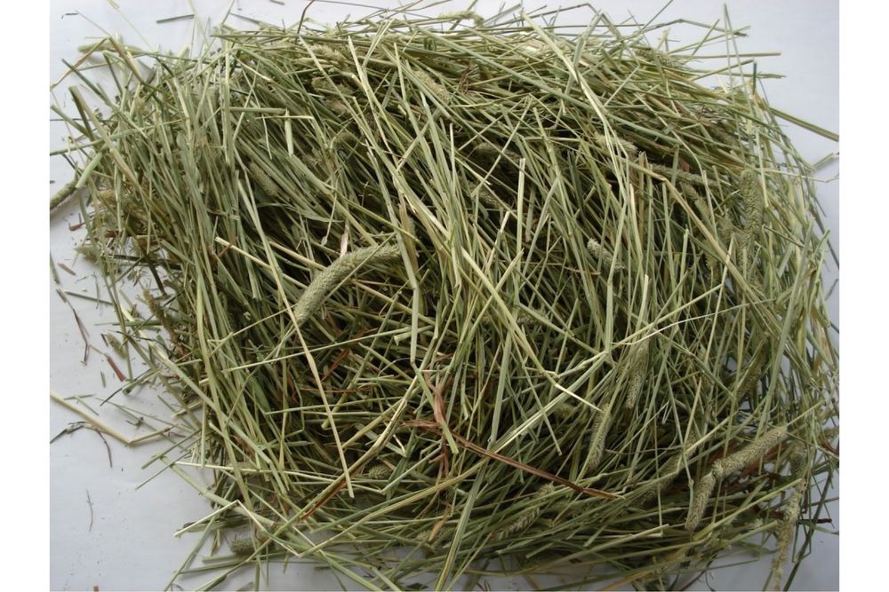 Продам хороше лугове сіно