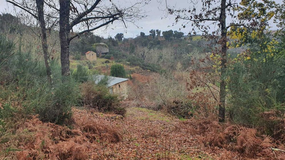 Propriedade com 4ha com Casas, Água, Vista e Muito Acolhedora