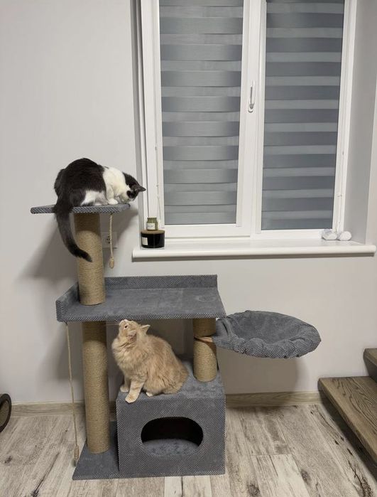 Кігтеточка  комплекс для кота