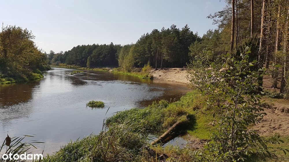 Piękny Dom nad samym Liwcem- dostępny od zaraz