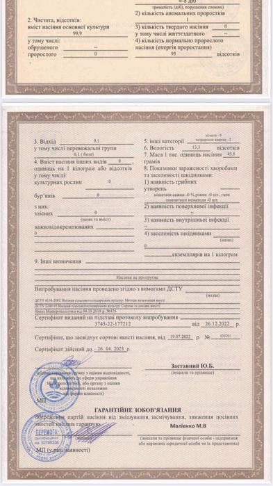 Яра пшениця «Візерунок» м‘яка