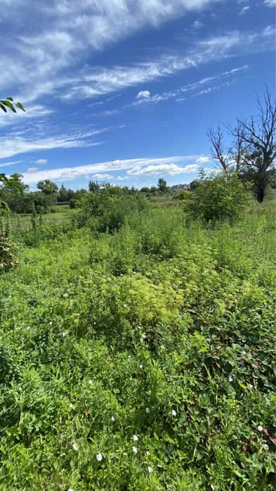 Хатинка + Струмок, с. Красне Перше, м. Обухів 3км, м. Київ 35км.