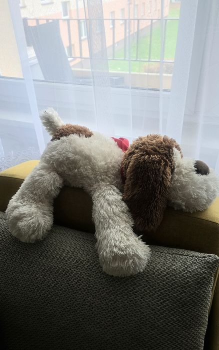 Sprzedam pluszowe zabawki