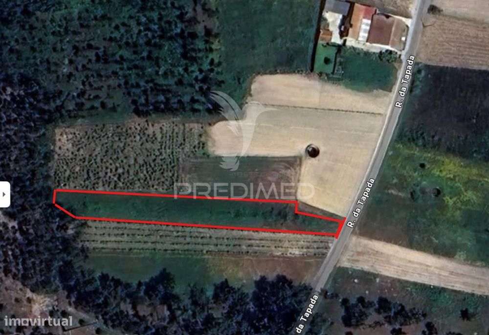 Terreno Rústico com 1.518 m² em Ouca – Vagos, Aveiro