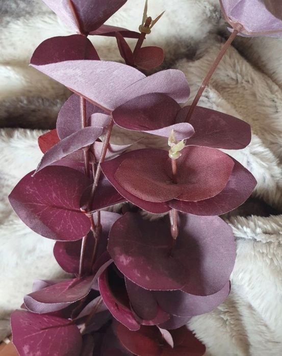 Kwiaty magnolii + gratis