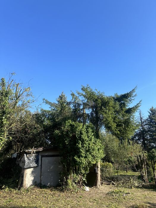 Wycinka drzew, koszenie trawy