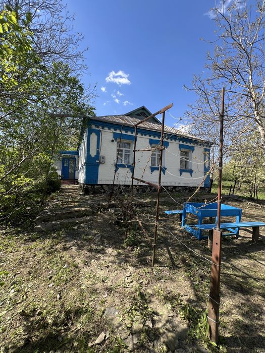 Продається будинок в с.Петрики Черкаська обл. Є Відновлення