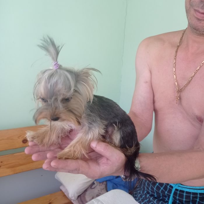 Очень очень маленькие микро девочки