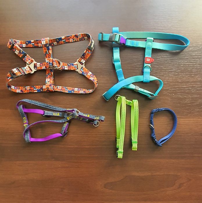 Амуніція для собак