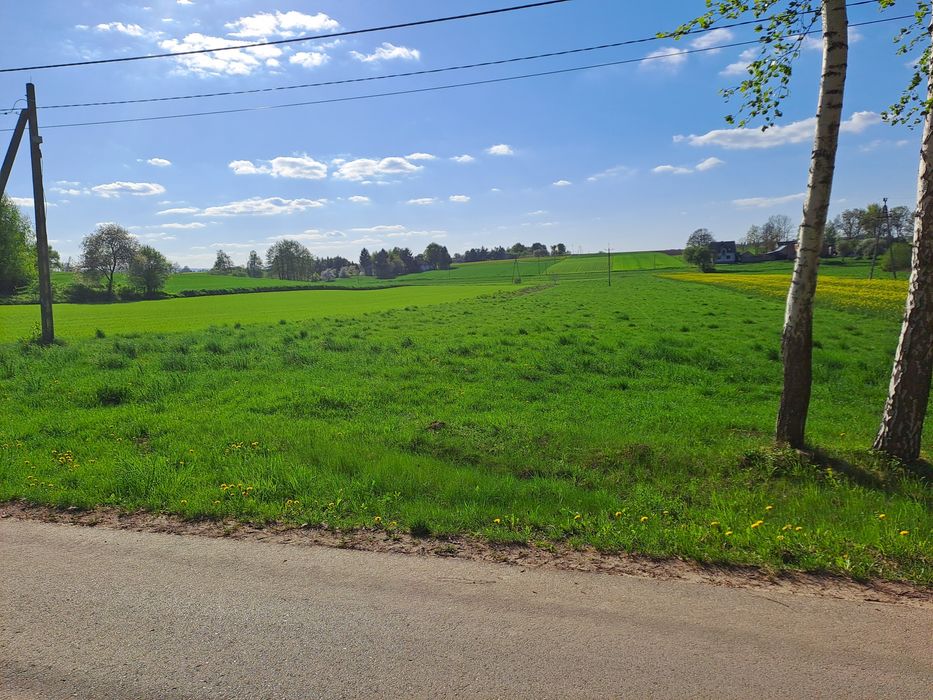 Gospodarstwo rolne z zabudowaniami i lasem 6h