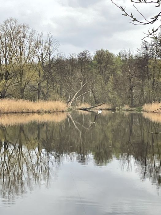 Ділянка з виходом до річки, озера