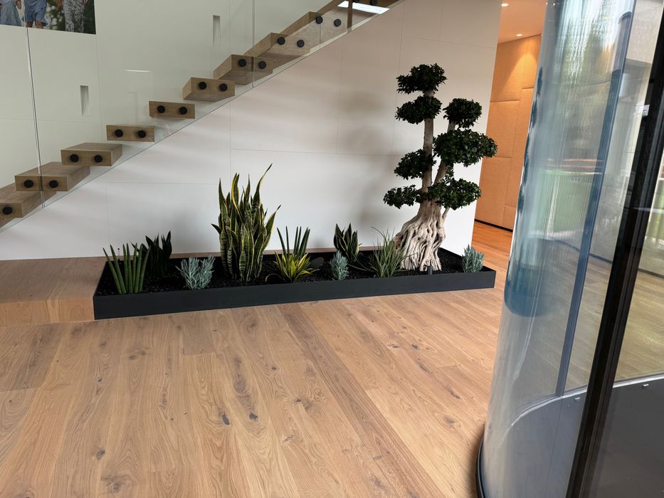 Usługi parkieciarskie