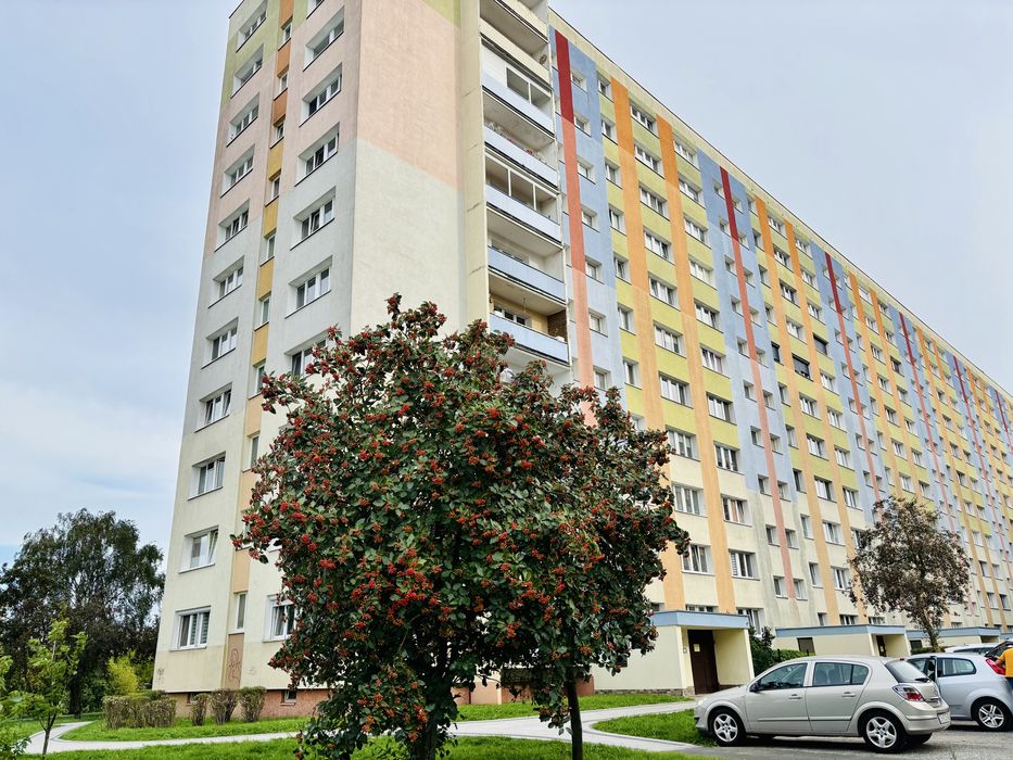Mieszkanie – Bydgoszcz, Zawisza - Widok 2