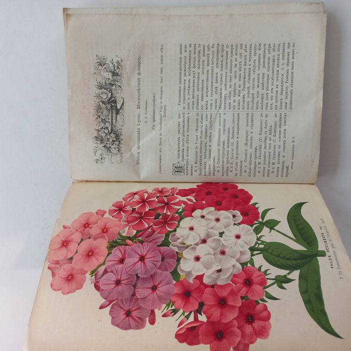 1883 р. Садоводство