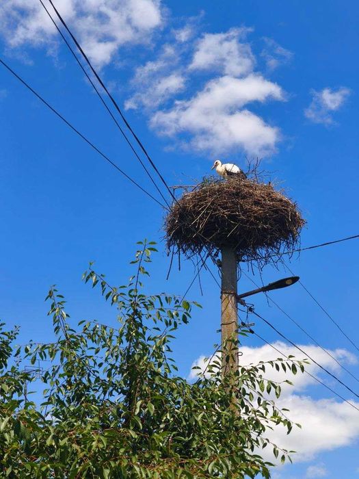 будинок у мальовничому селі біля гір