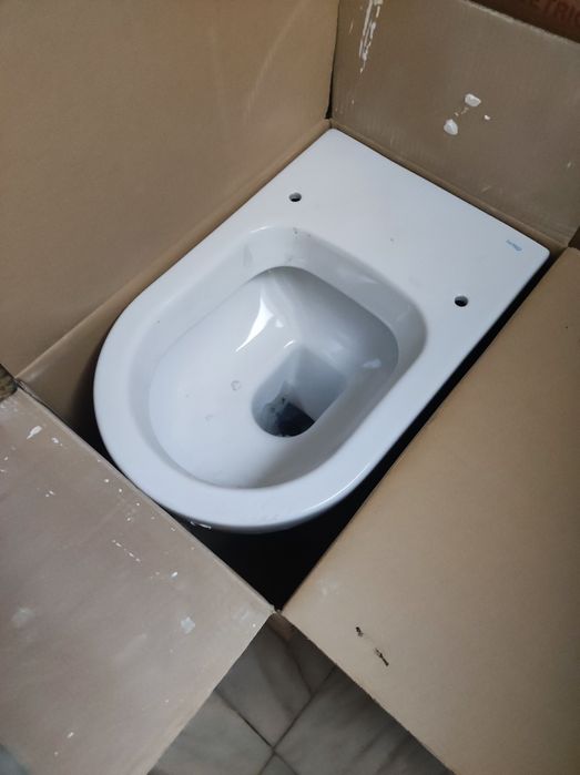 Sanita Sanitana Coral