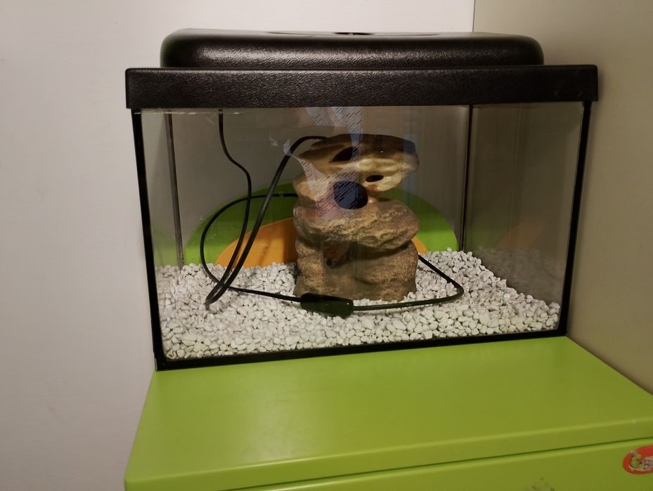 Akwarium z pokrywą 25l   40x25x25