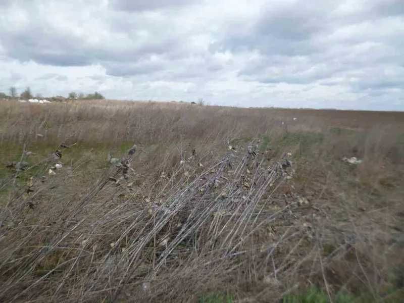 Земельна ділянка пл. 4 га Вороньківська с/р