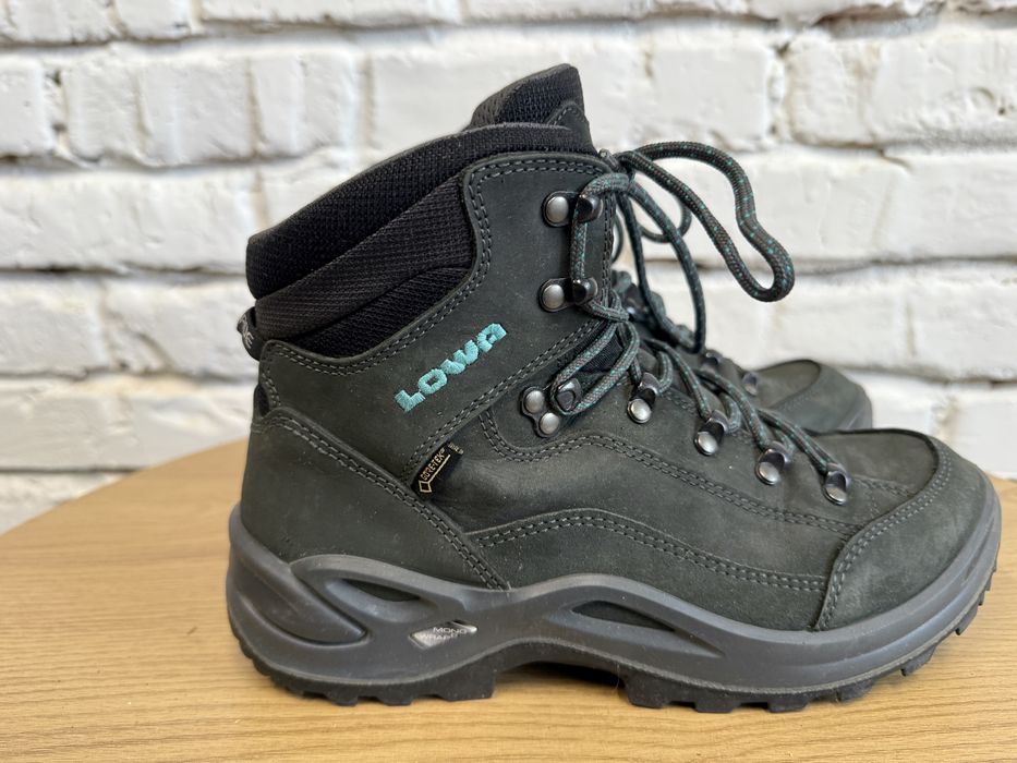 Черевики Lowa Renegade gtx