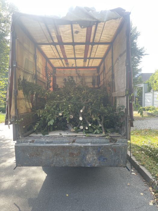 Вивіз будівельного сміття гілок старої меблі