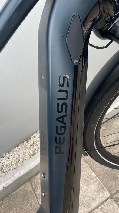 Rower elektryczny Pegasus