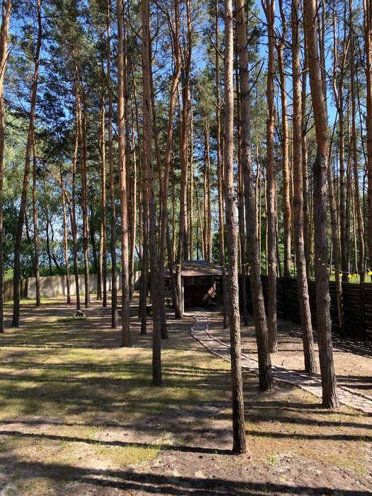 Продам будинок на березі водосховища. с. Гавронщина