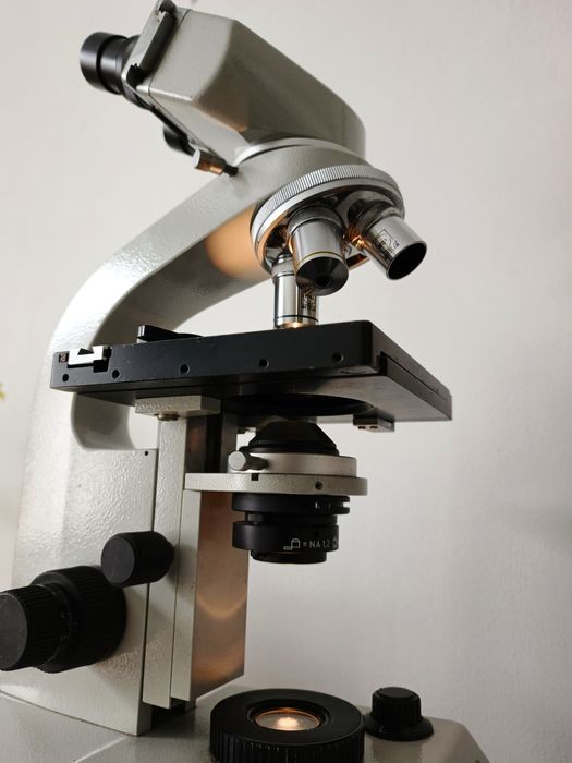 Mikroskop dwuokularowy Will Wetzlar model V365