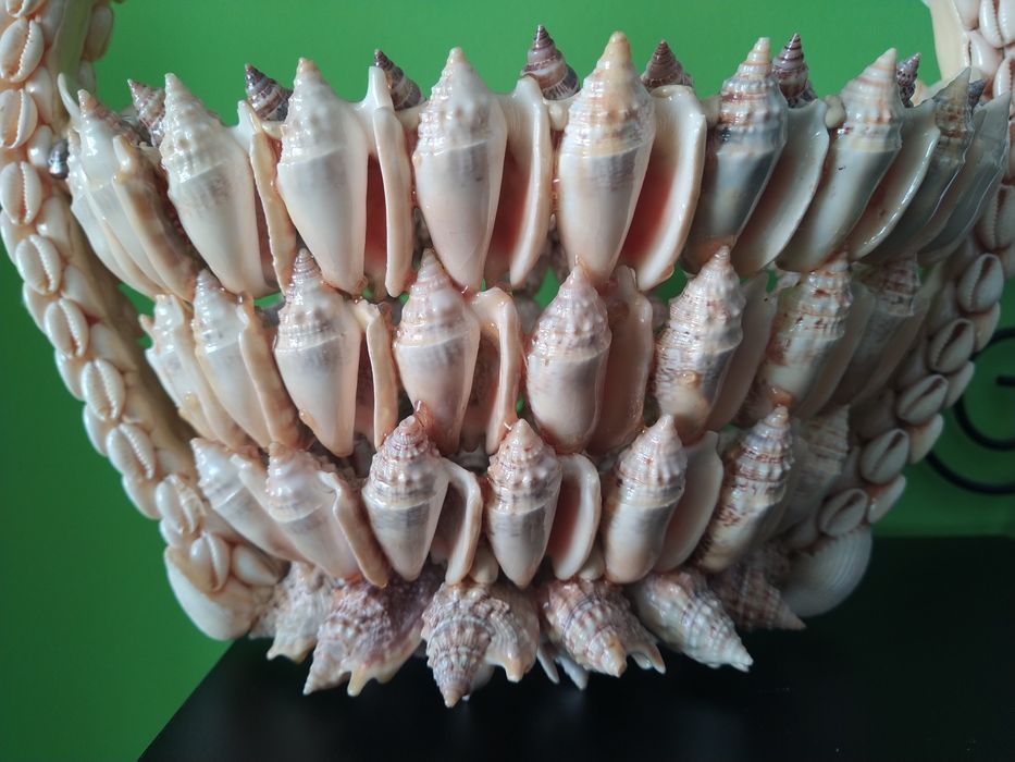 Cesto de búzios e conchas artesanal casa quarto apartamento vivenda.