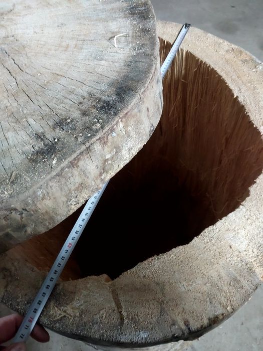 Buda legowa, kaczki, ary, kakadu, amazonki.