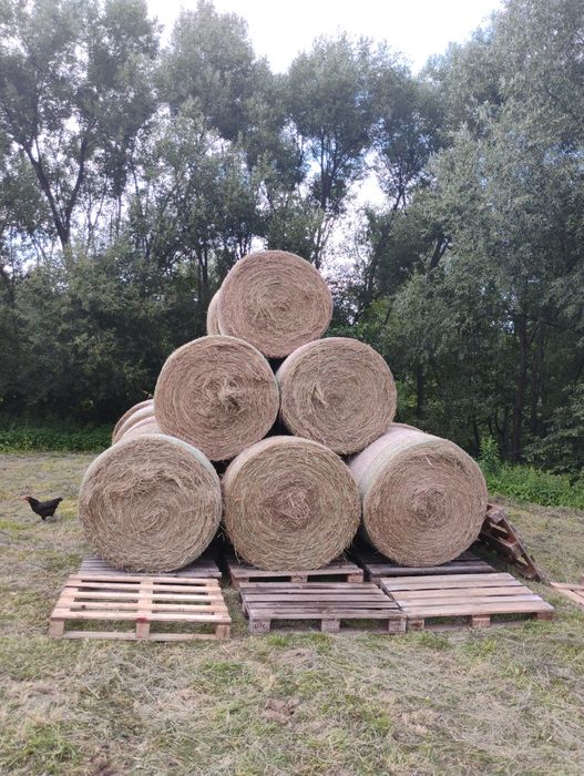Siano słoma kostki bale