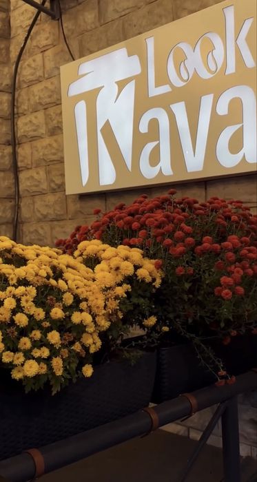 Продається кавʼярня - готовий прибутковий бізнес на Позняках