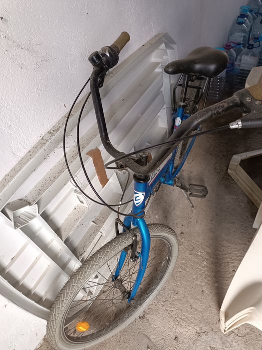 Bicicleta Berg Adulto