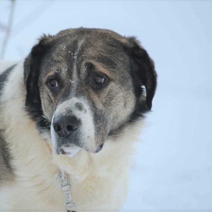 Pokochaj przemiłego Bena!