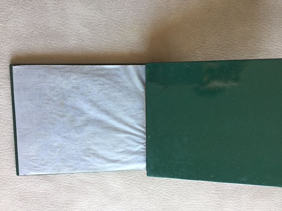 Album fotografias Gato Preto