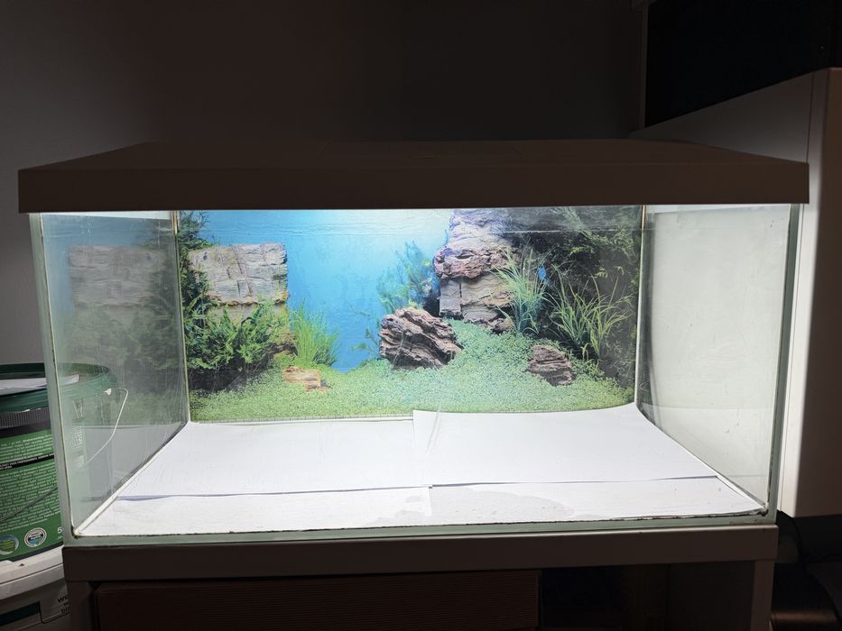 Akwarium z pokrywą i lampą